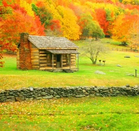 Learn How to Paint Landscapes Using Pastels For the Beginner