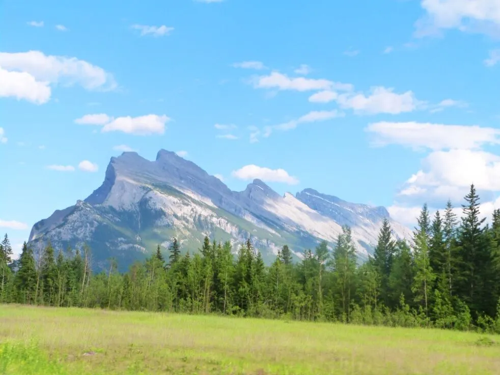Learn How to Paint Landscapes Using Pastels For the Beginner
