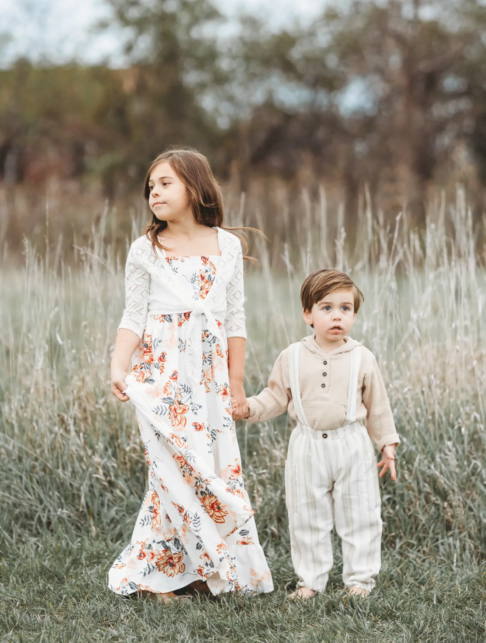 Stella Dress (earthy floral)